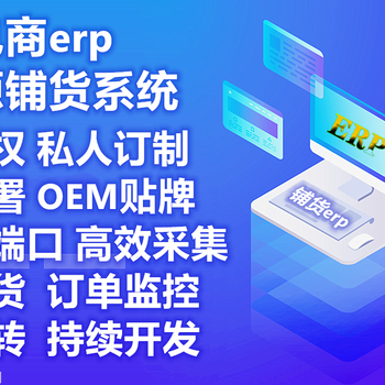 亞馬遜跨境電商,自主研發ERP軟件系統,開發定制